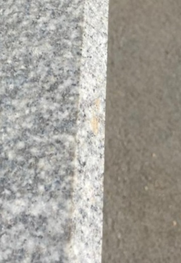 Олли (@olli253) — моя фотография № 1