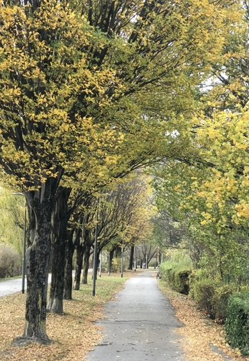 night deeam (@nightdeeam) — моя фотография № 1