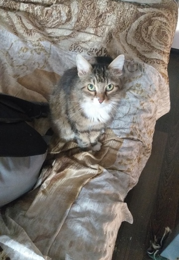 Алена (@alena165941) — моя фотография № 1