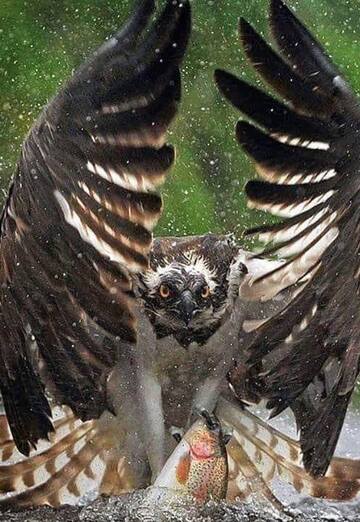 حمادي (@nqe53g94ps) — моя фотография № 2