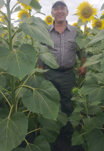 Моя фотография - Алексей, 66 из Самара (@aleksey733961)