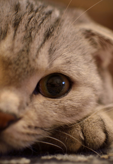 Ольга (@olga437262) — моя фотография № 2