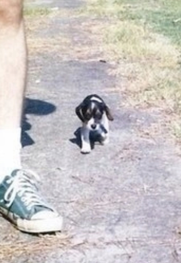 илья (@ilya129009) — моя фотография № 1