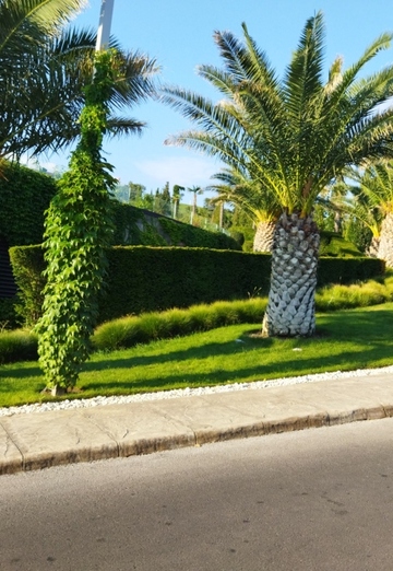 Алексей (@aleksey735321) — моя фотография № 1