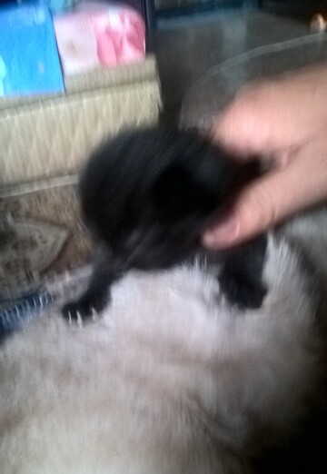 олег (@oleg346323) — моя фотография № 2