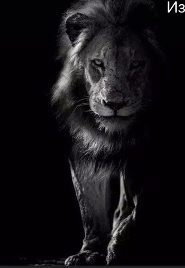 Вечеслав (@vecheslav583) — моя фотография № 1