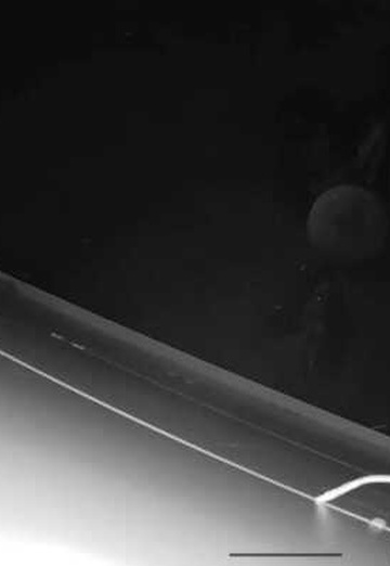 Александр (@aleksandr1219343) — моя фотография № 1