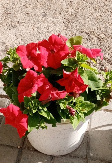 Наталья (@natalya372266) — моя фотография № 1